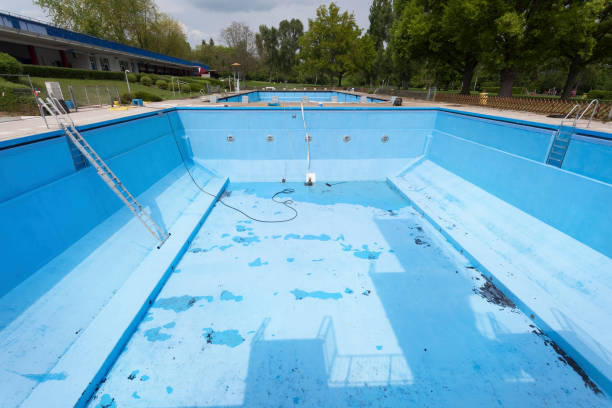 Best Basement water damage restoration  in Florence, MT