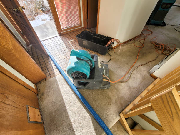 Best Fire Damage Restoration  in Florence, MT