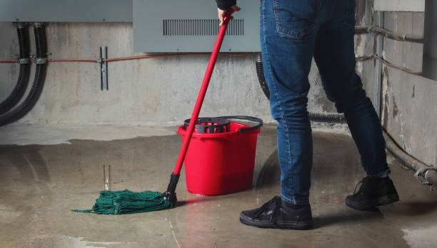 Best Basement water damage restoration  in Florence, MT