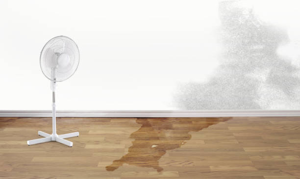 Best Residential water damage restoration  in Florence, MT