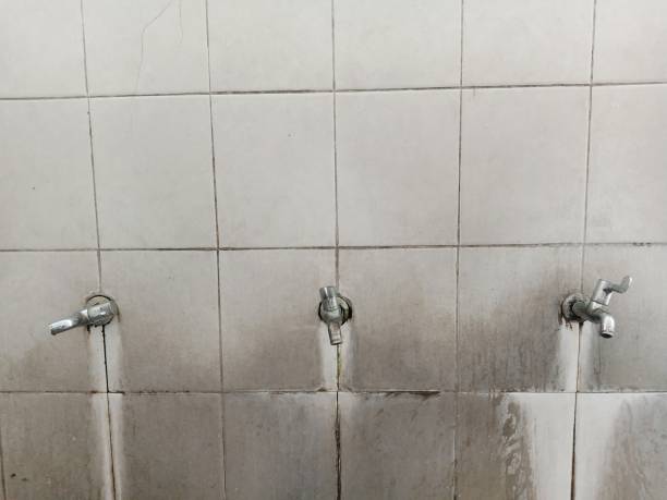 Best Professional water damage repair  in Florence, MT