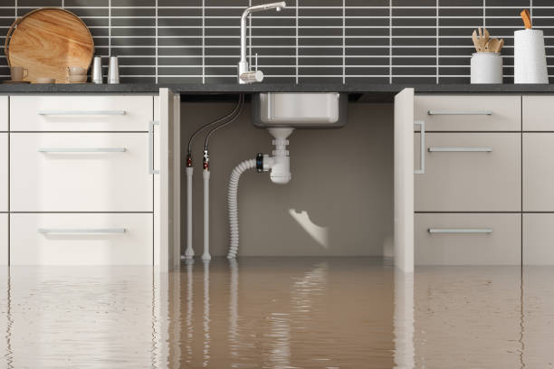 Best 24-hour water damage restoration  in Florence, MT