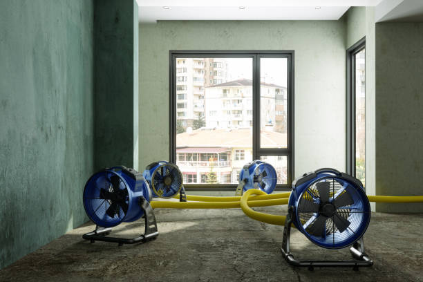 Best Ceiling water damage repair  in Florence, MT