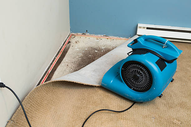 Best Water damage contractors near me  in Florence, MT